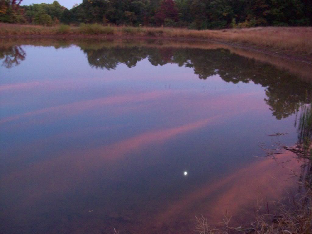 Name:  100_0630.jpg
Views: 50
Size:  76.9 KB