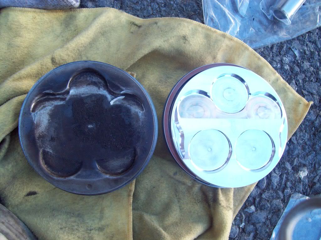 Name:  100_0641.jpg
Views: 53
Size:  131.3 KB