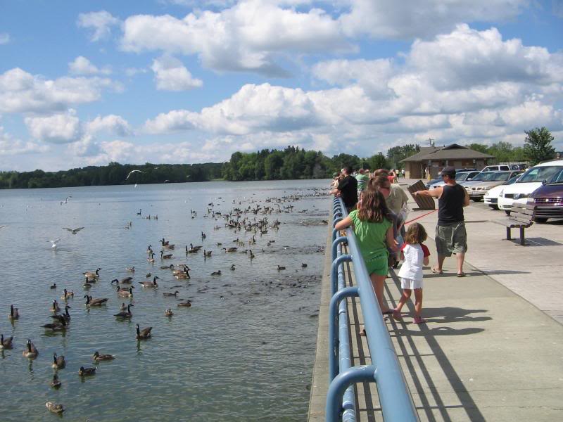 Name: ERIE-08020.jpg
Views: 20
Size: 73.1 KB