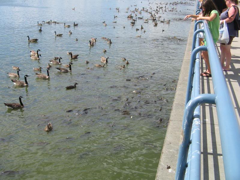 Name: ERIE-08023.jpg
Views: 19
Size: 84.7 KB