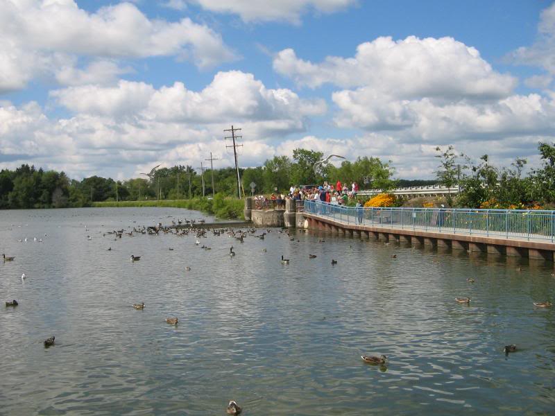 Name: ERIE-08026.jpg
Views: 23
Size: 70.1 KB