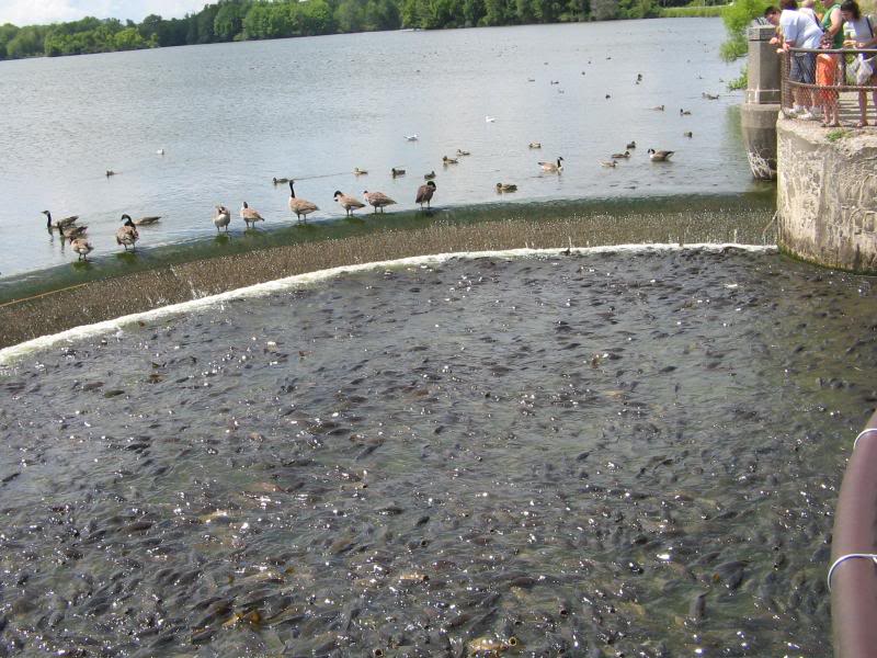 Name: ERIE-08031.jpg
Views: 18
Size: 101.4 KB