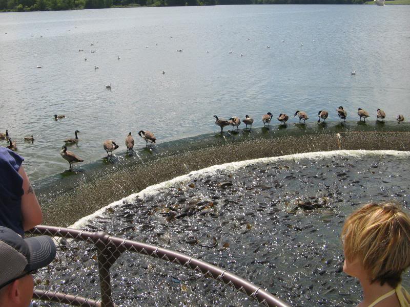 Name: ERIE-08033.jpg
Views: 20
Size: 106.0 KB