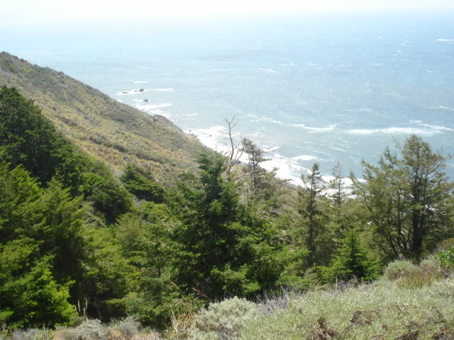 Name: DSC00384.jpg
Views: 17
Size: 78.4 KB