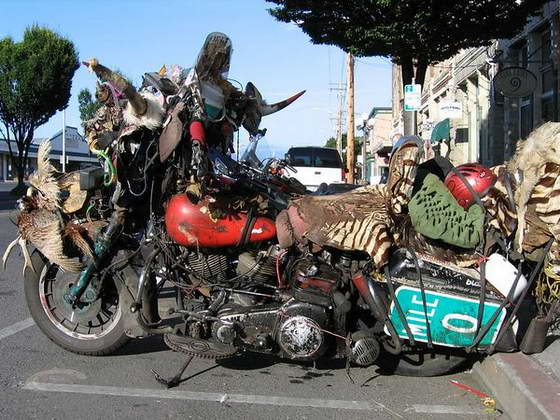 Name:  Rat-bike1.jpg
Views: 28
Size:  58.7 KB