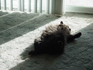Name: 8Mar08038.jpg
Views: 15
Size: 11.6 KB