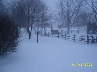 Name: S4200020.jpg
Views: 18
Size: 12.7 KB