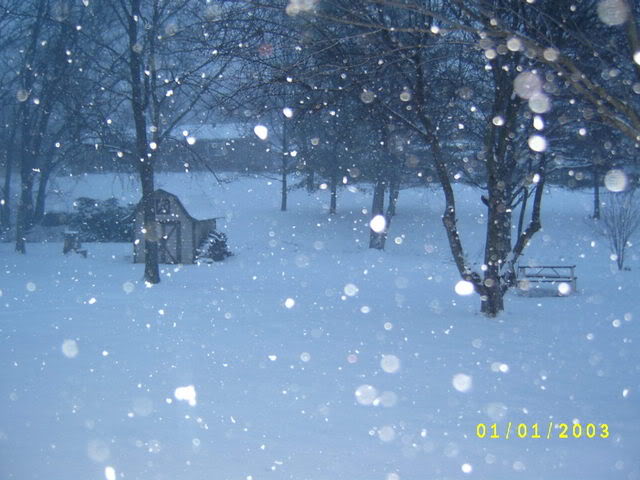 Name:  S4200016.jpg
Views: 18
Size:  54.8 KB
