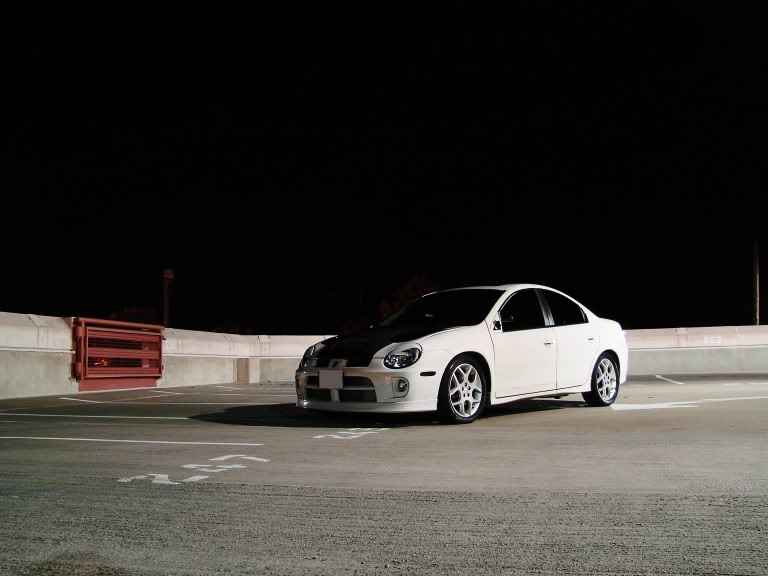 Name:  photoshoot022.jpg
Views: 26
Size:  56.9 KB
