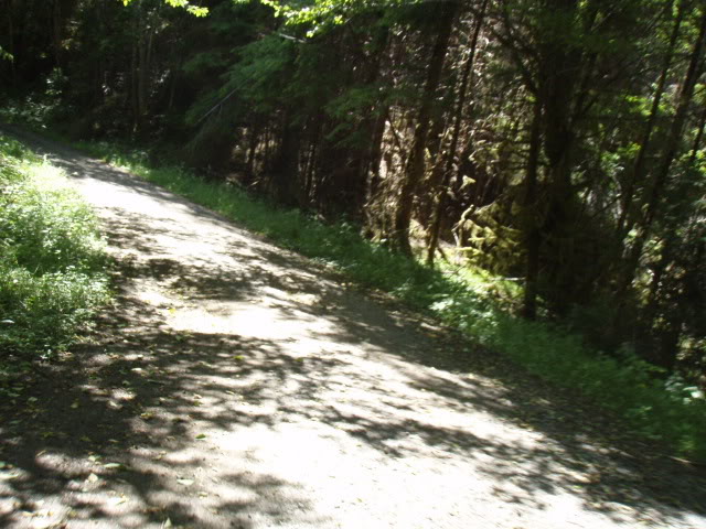 Name:  P7111154.jpg
Views: 46
Size:  89.5 KB