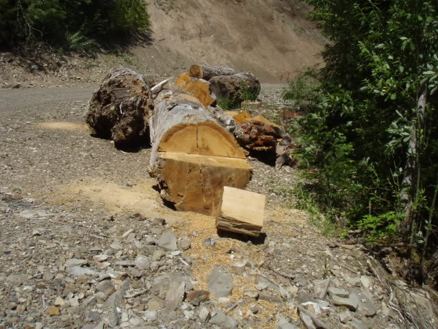 Name:  P7111180.jpg
Views: 48
Size:  103.9 KB