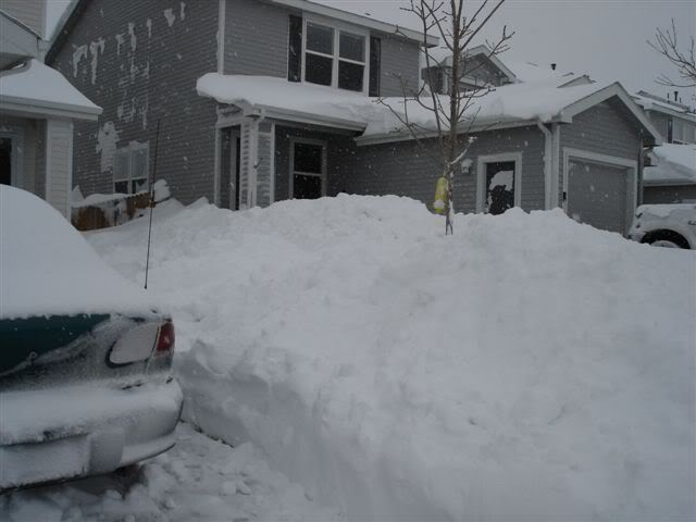 Name:  Snow.jpg
Views: 13
Size:  32.6 KB