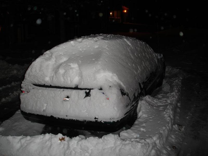 Name:  DSC02559-1.jpg
Views: 14
Size:  40.7 KB