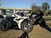 Motorcycle Fun: Picture Challenge Game-0128011547a.jpg