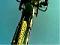 fgk228's Avatar