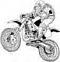 Lexicon39's Avatar