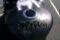 spydog's Avatar